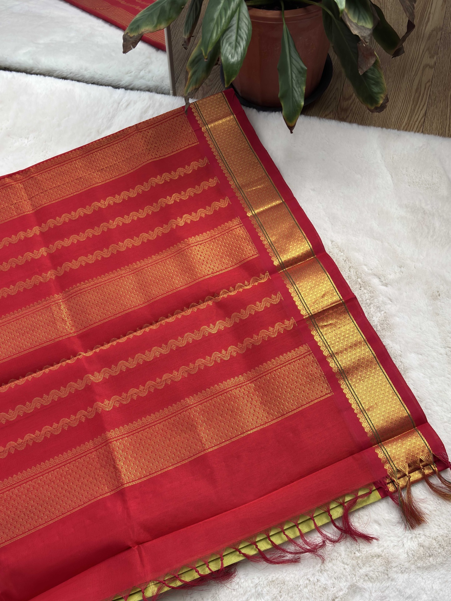 Plain Silk Cotton with Korvai Border