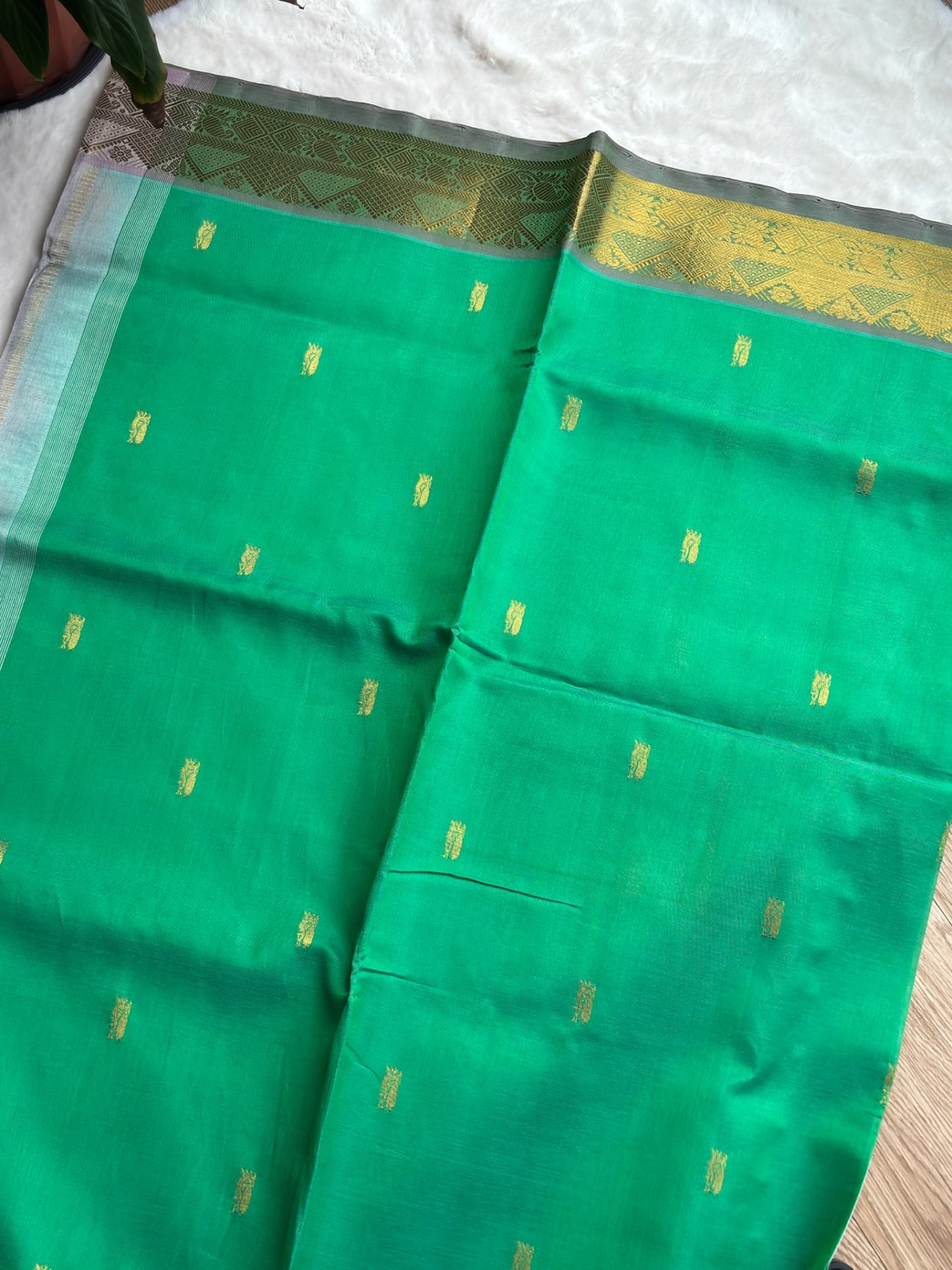 Handloom Kanchi Silk Cotton
