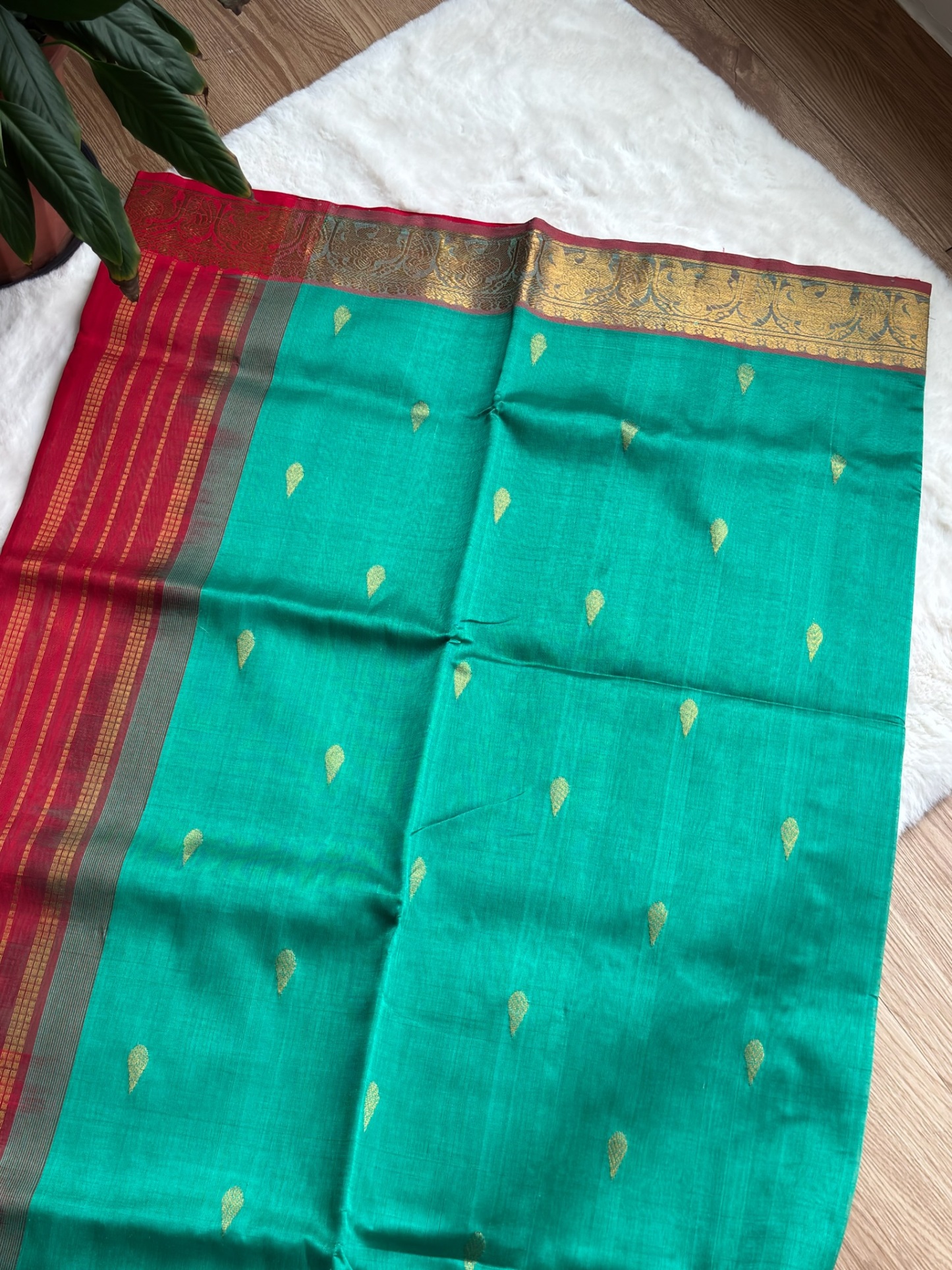 Handloom Kanchi Silk Cotton