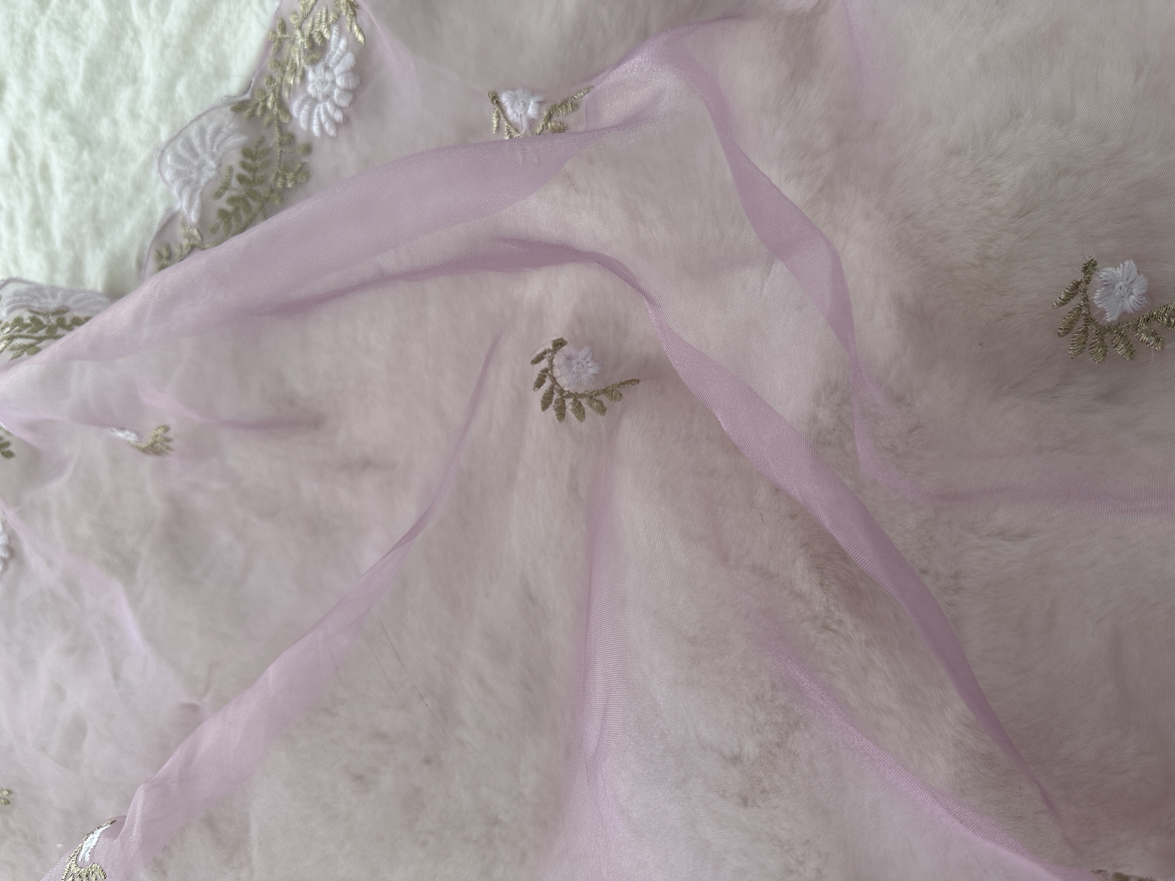 Organza Saree with Scallop Border