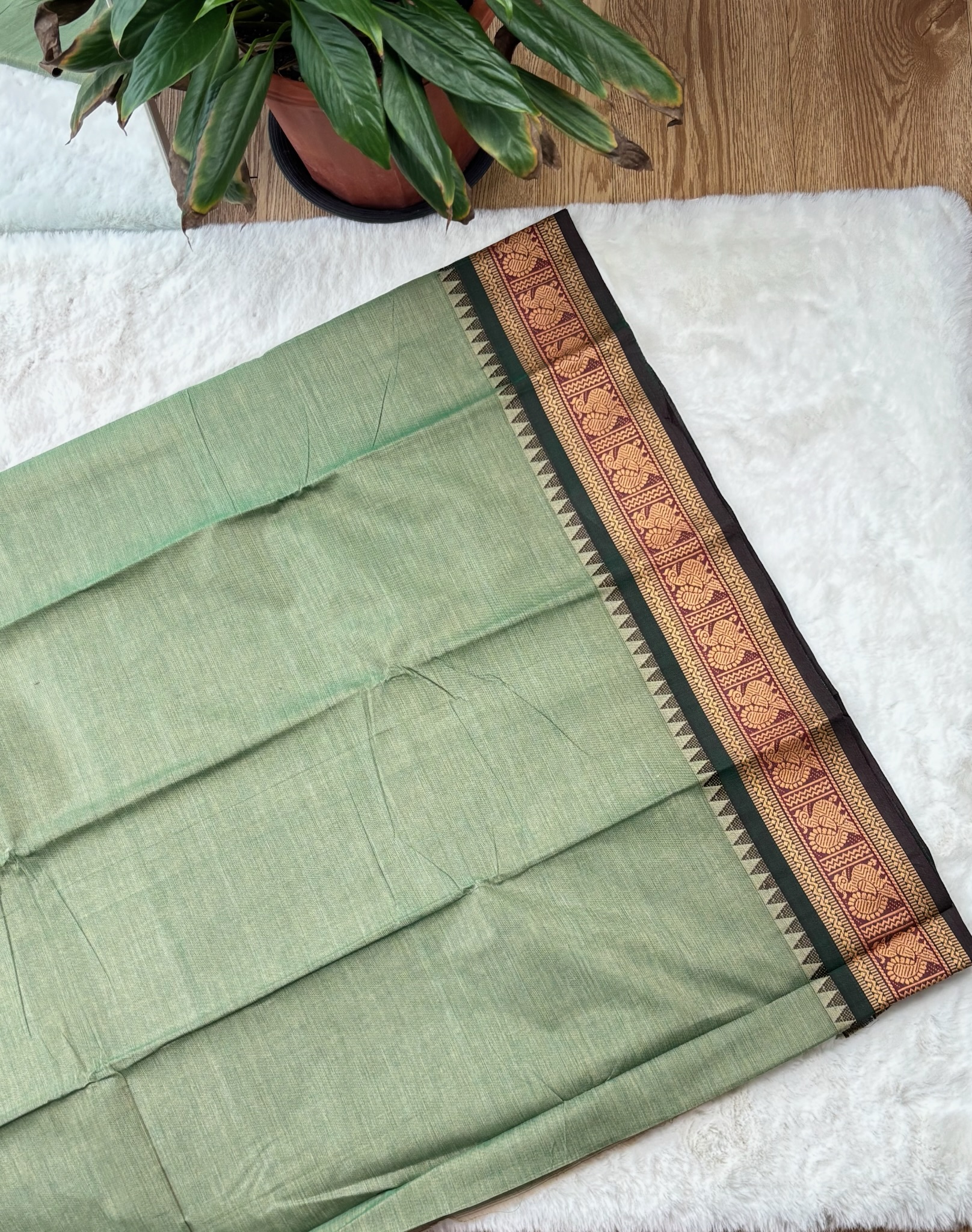 Handloom Cotton Saree without Blouse (60s)