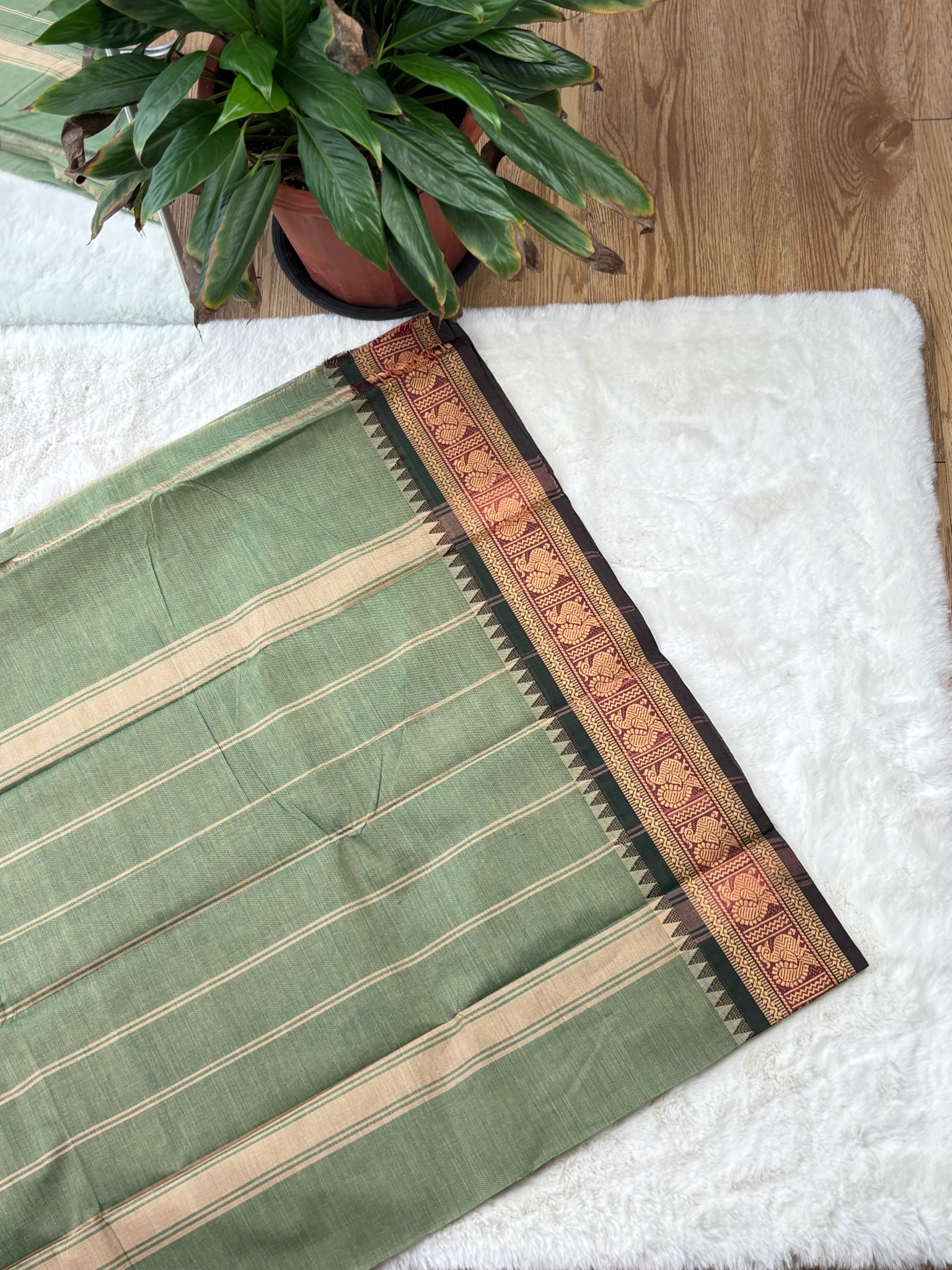 Handloom Cotton Saree without Blouse (60s)