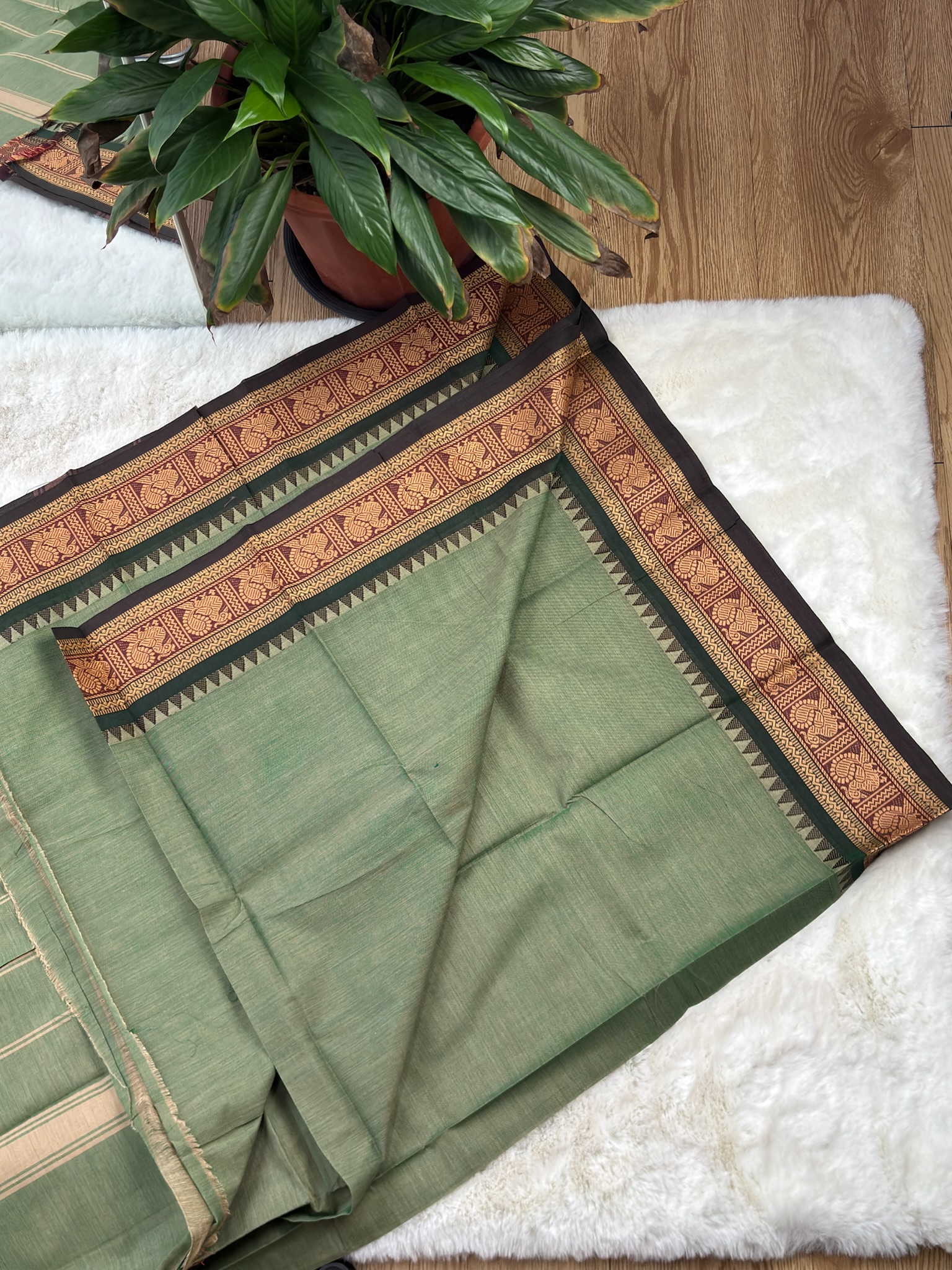 Handloom Cotton Saree without Blouse (60s)