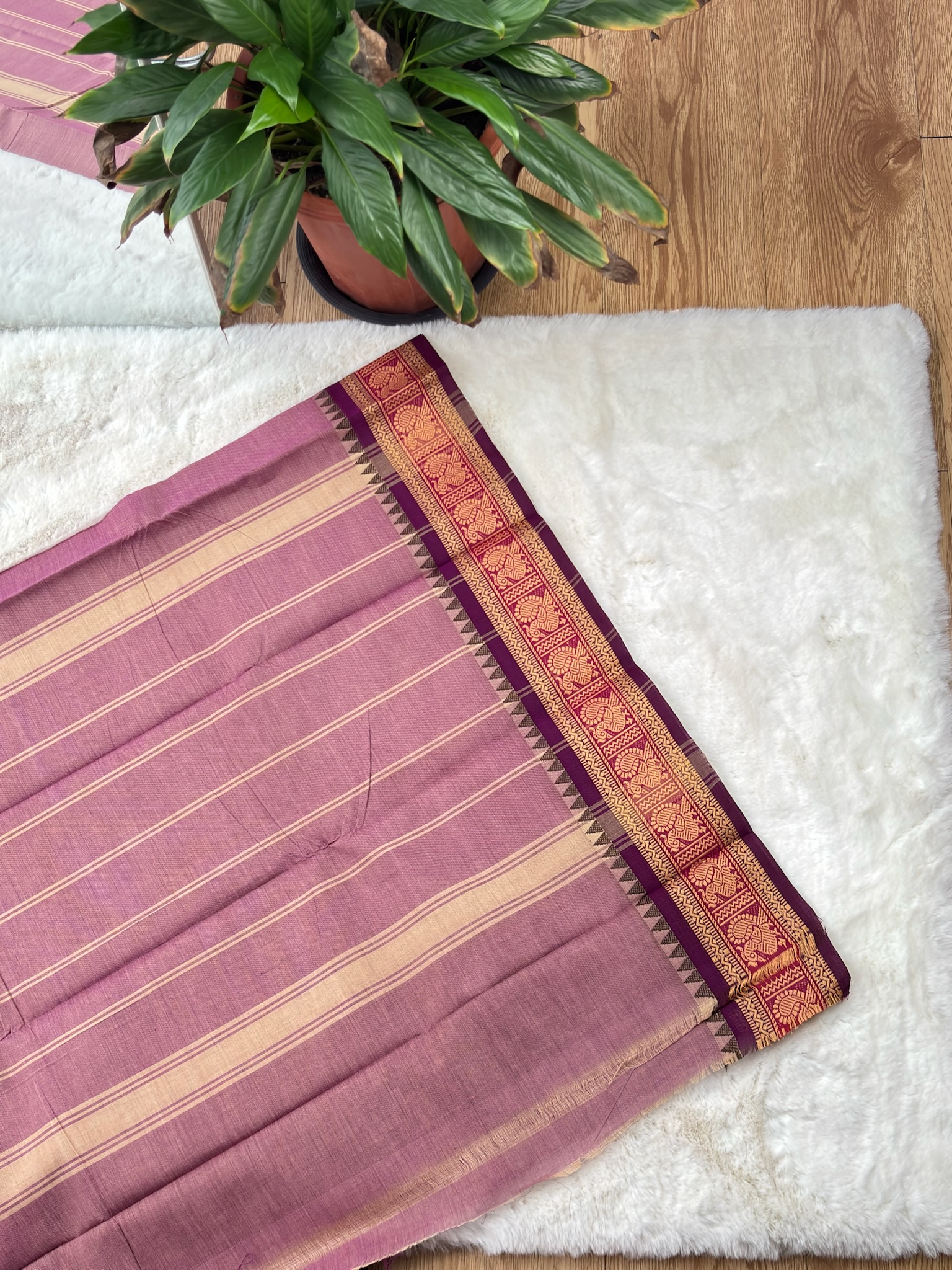 Handloom Cotton Saree without Blouse (60s)