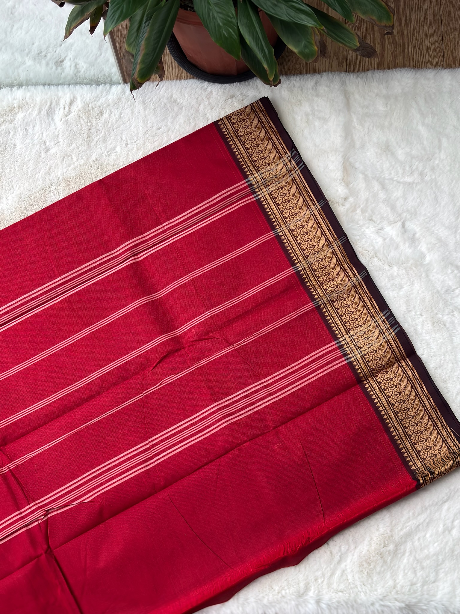 Handloom Cotton Saree without Blouse (60s)