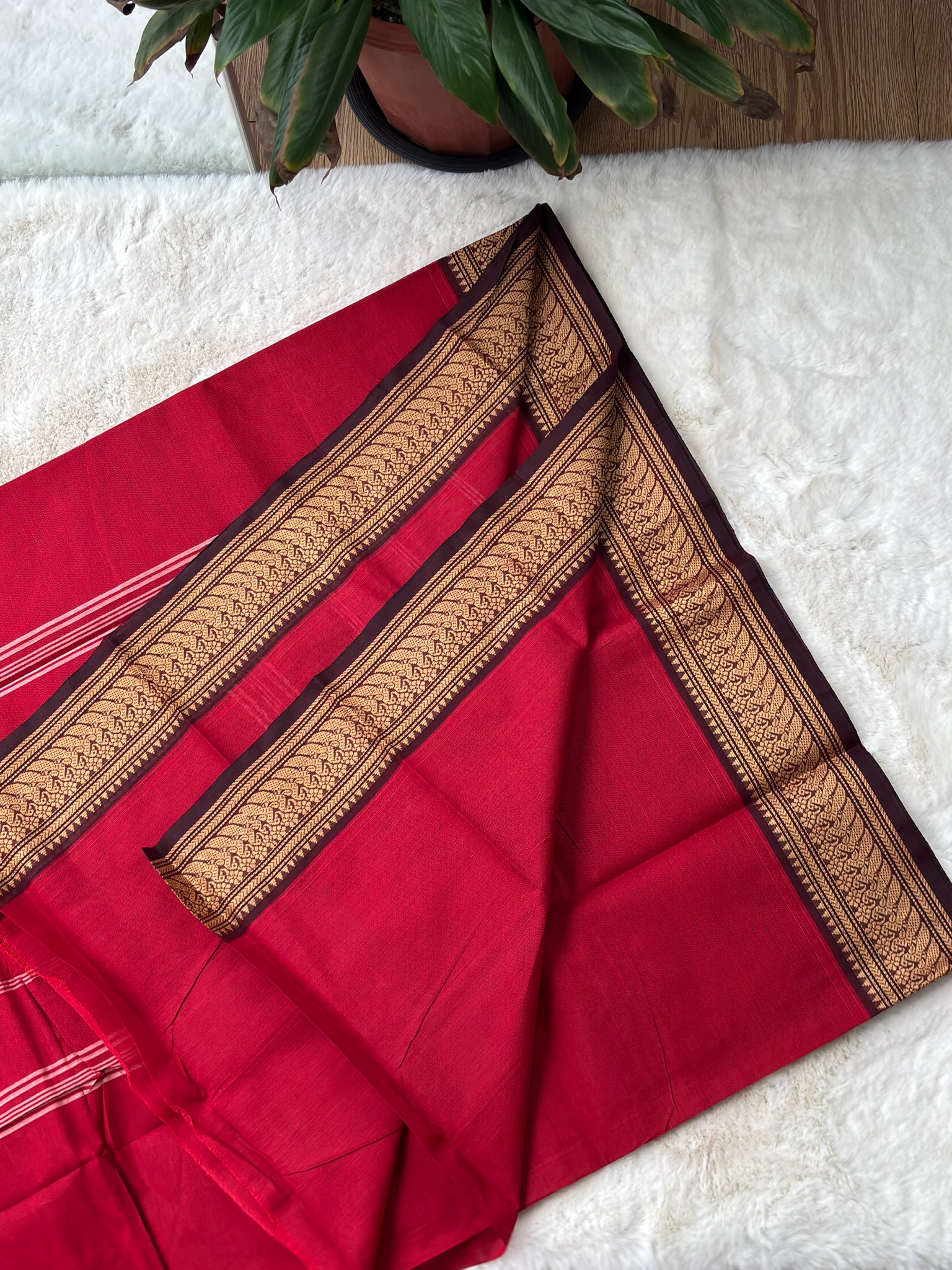 Handloom Cotton Saree without Blouse (60s)