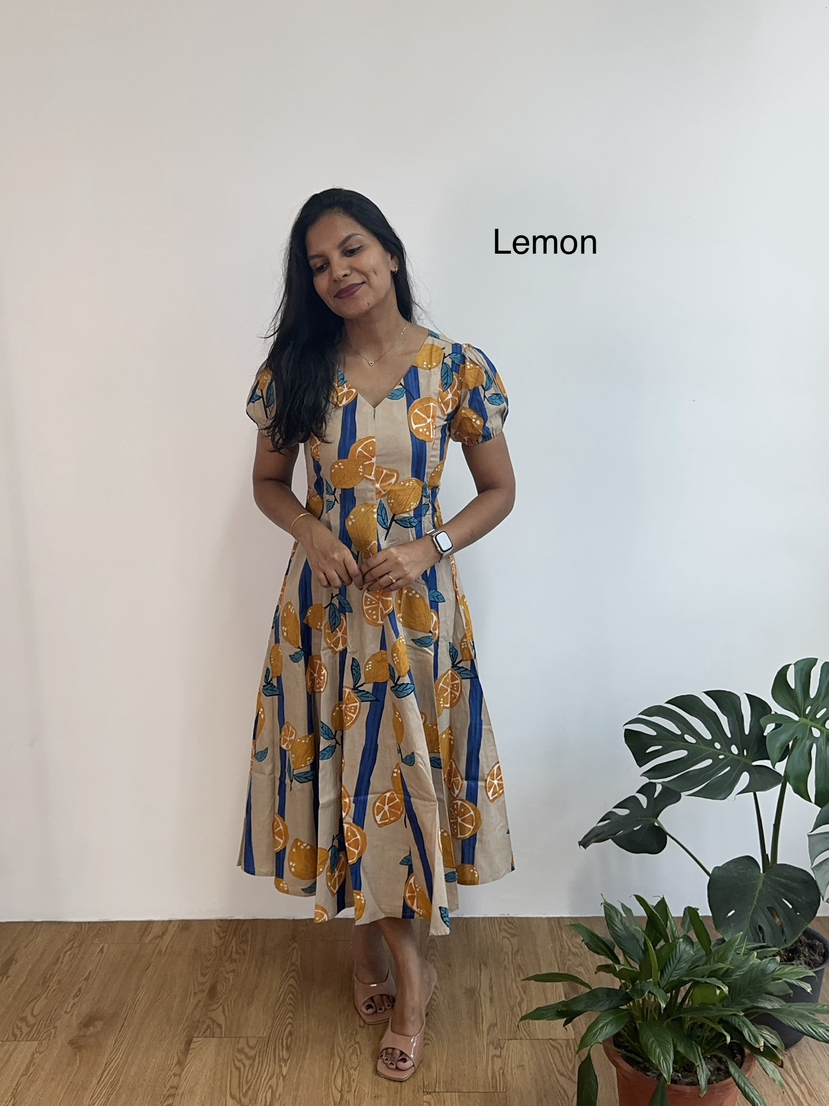 Panel Silhouette Dress