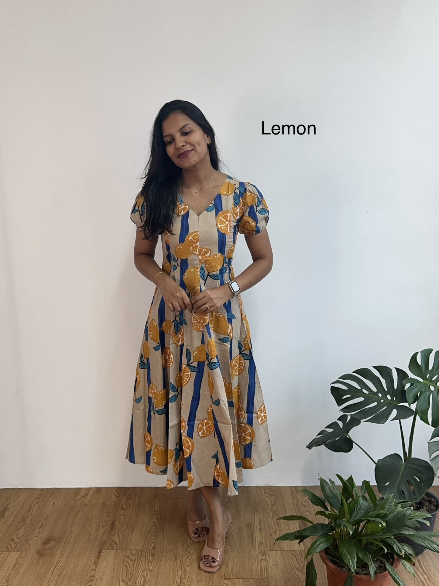 Panel Silhouette Dress