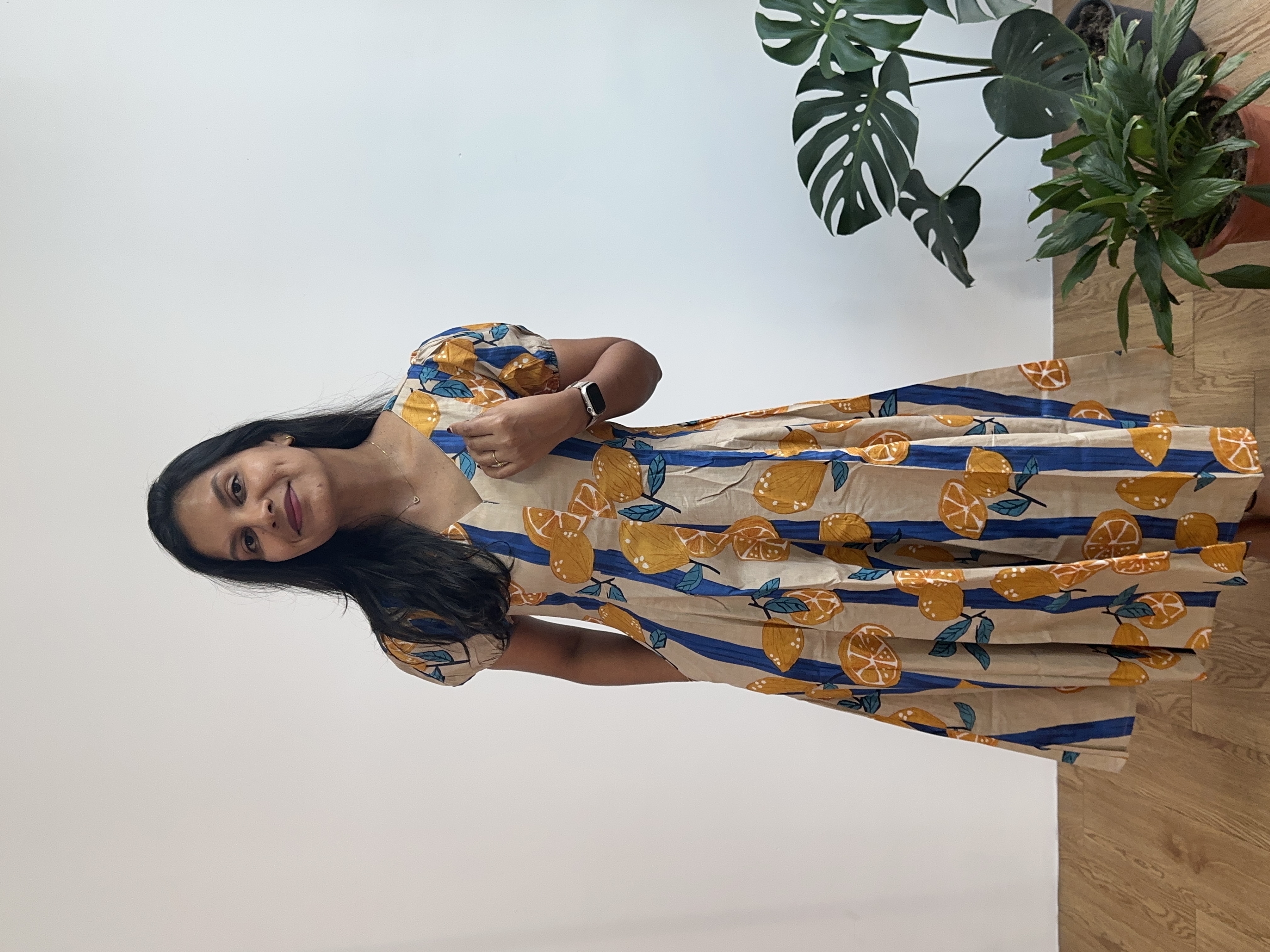 Panel Silhouette Dress