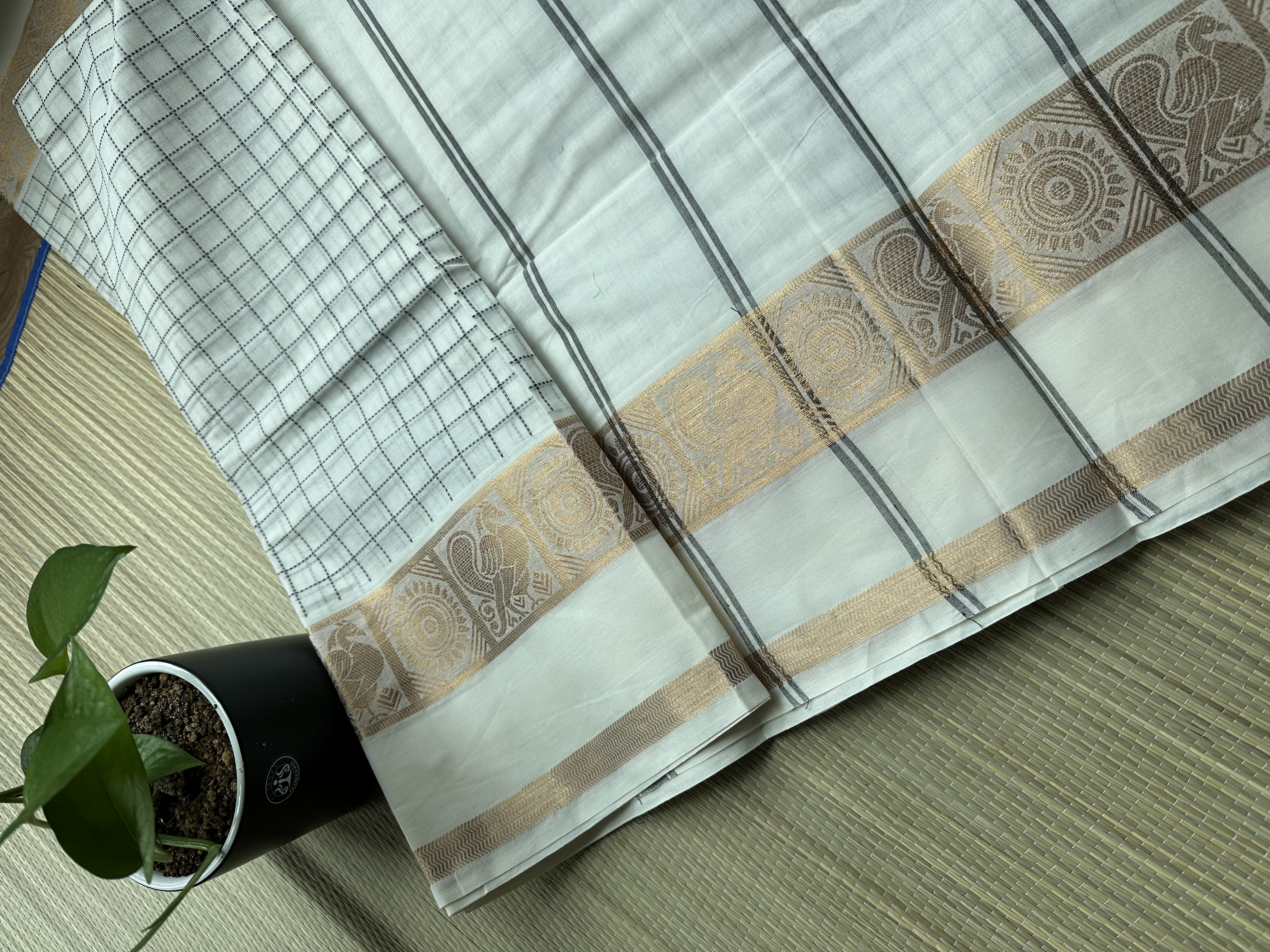 Kanchi Cotton Saree