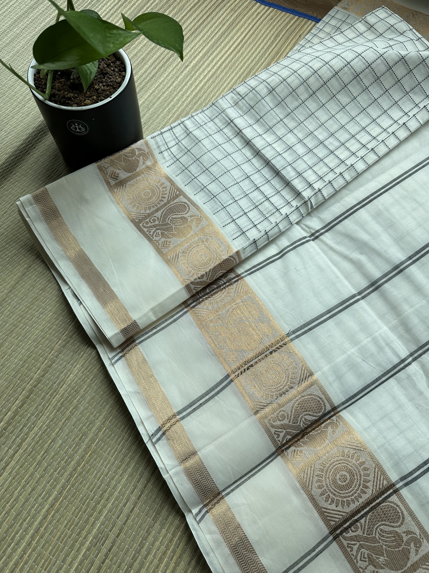 Kanchi Cotton Saree