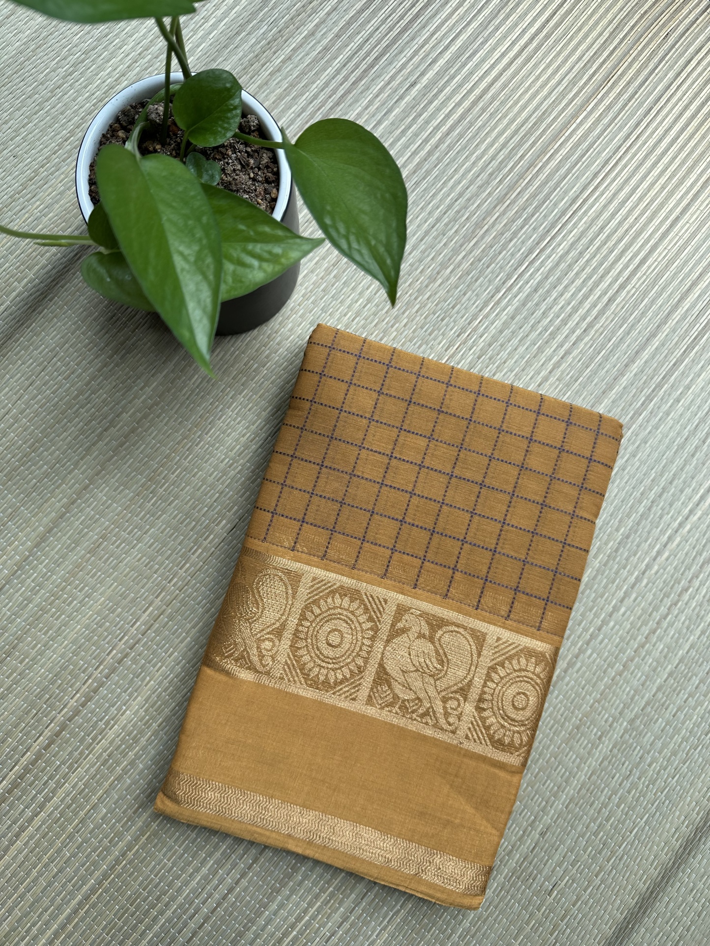 Kanchi Cotton Saree
