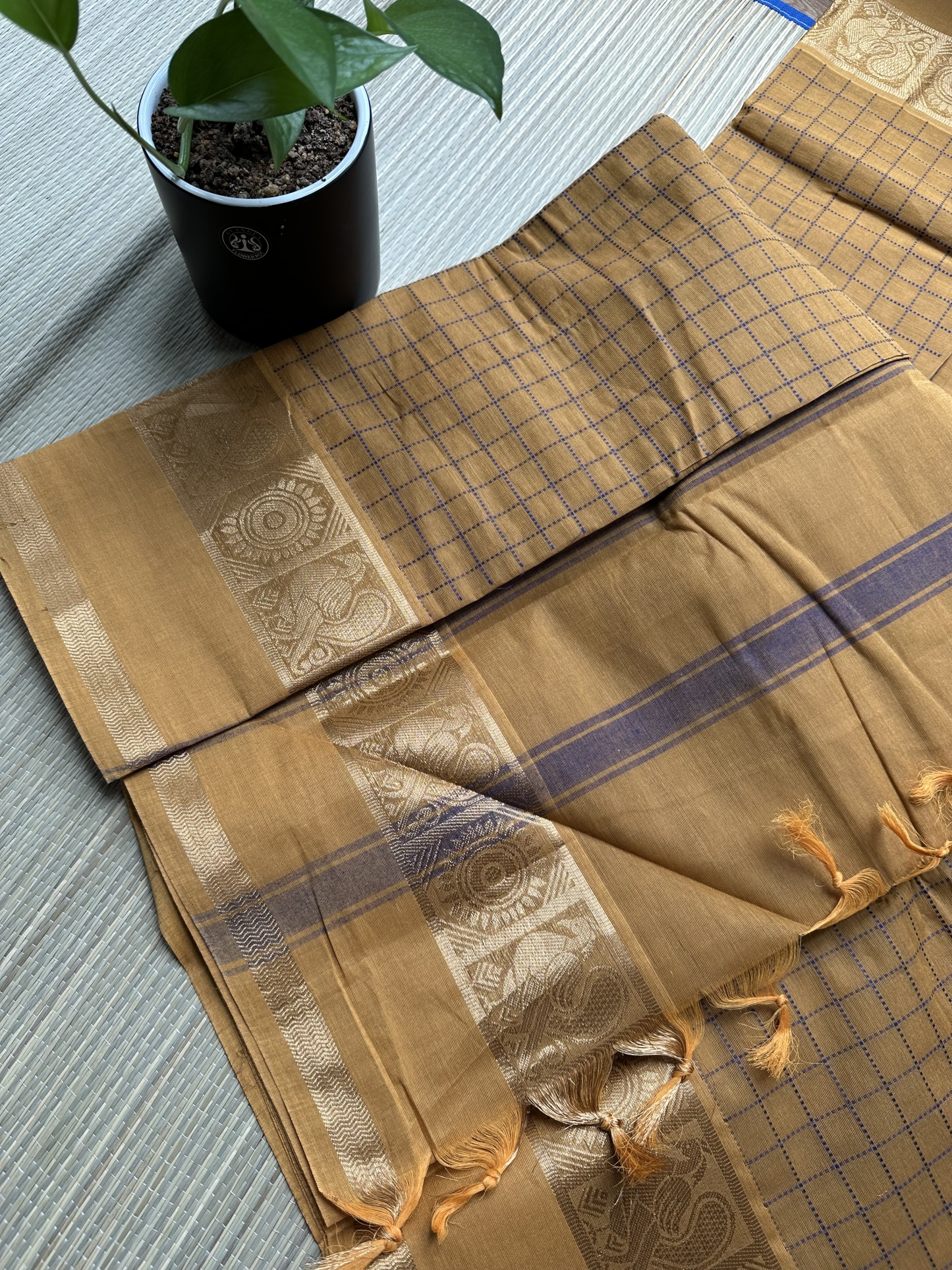 Kanchi Cotton Saree