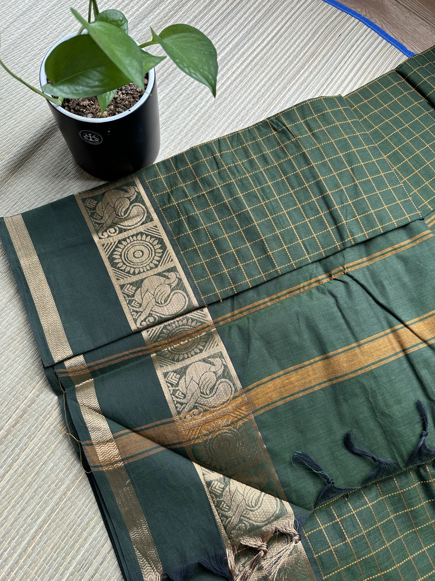 Kanchi Cotton Saree