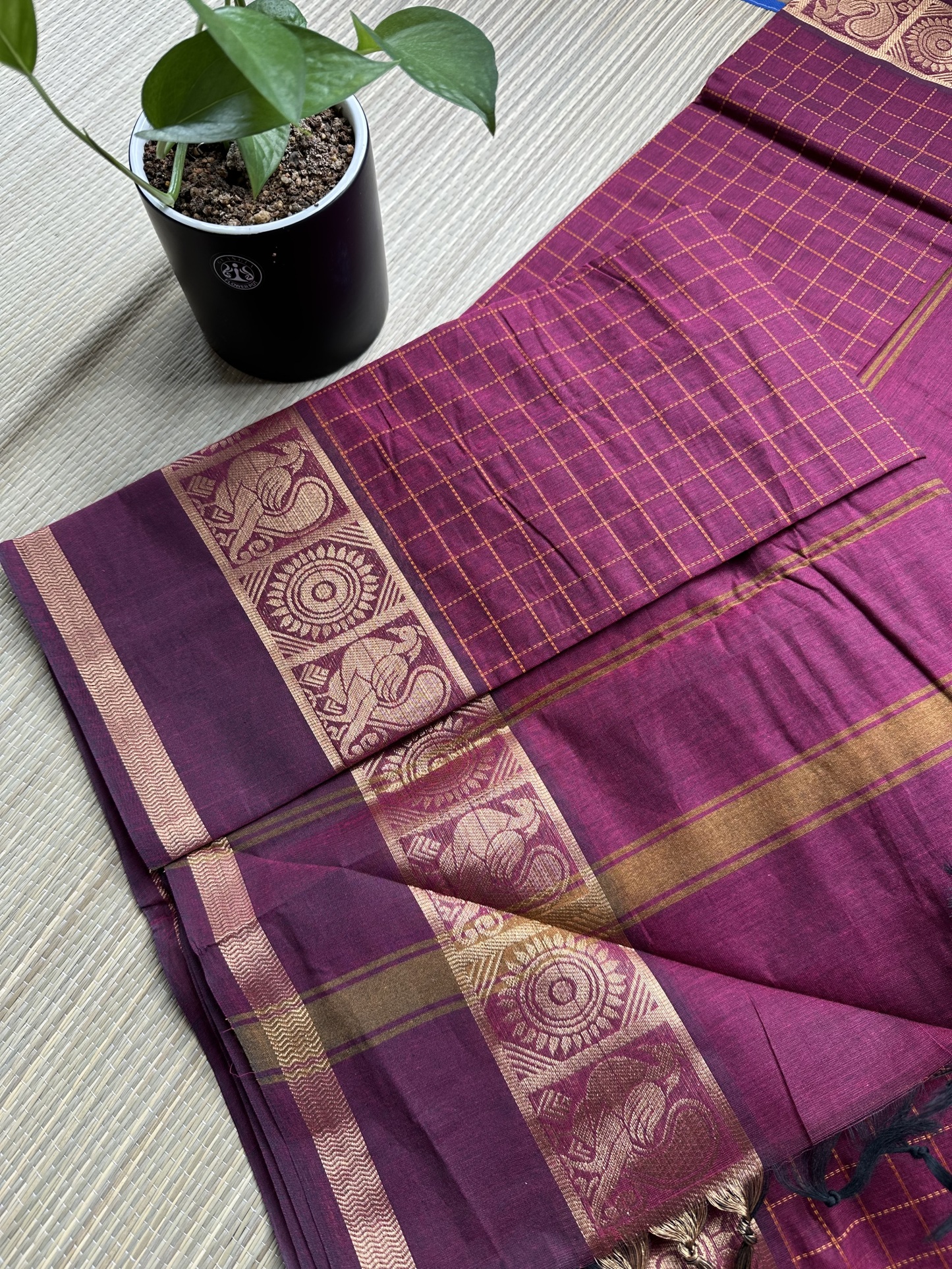 Kanchi Cotton Saree