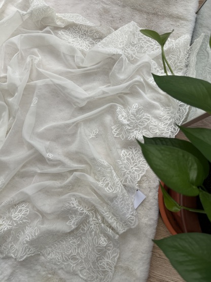 Tebby Organza Saree