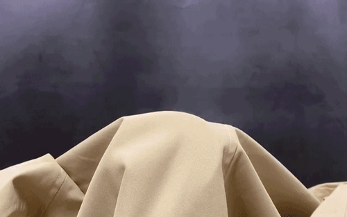 风衣_25.gif