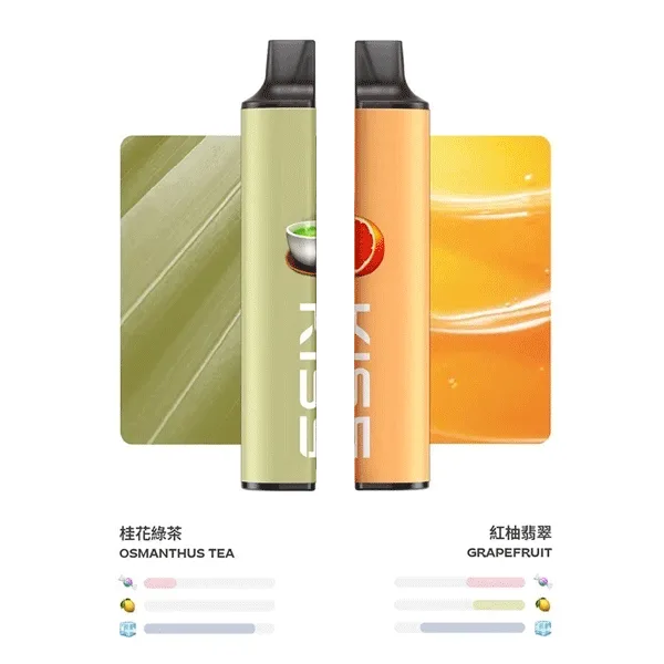 凱斯 KISS 6500口抛棄式電子煙 可充電/12種口味隨意混搭