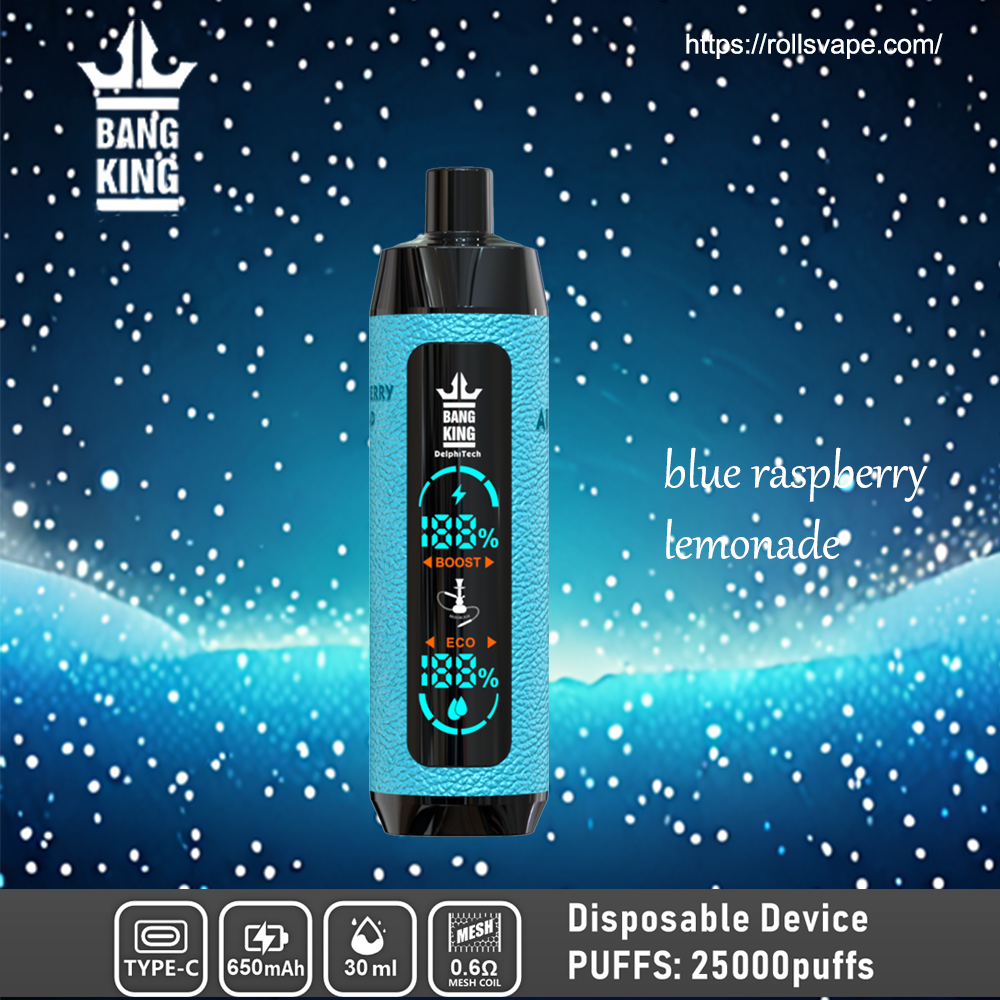Bang King Shisha 25000 | 25K Puffs 一次性電子煙 – 奢華體驗，極致滿足
