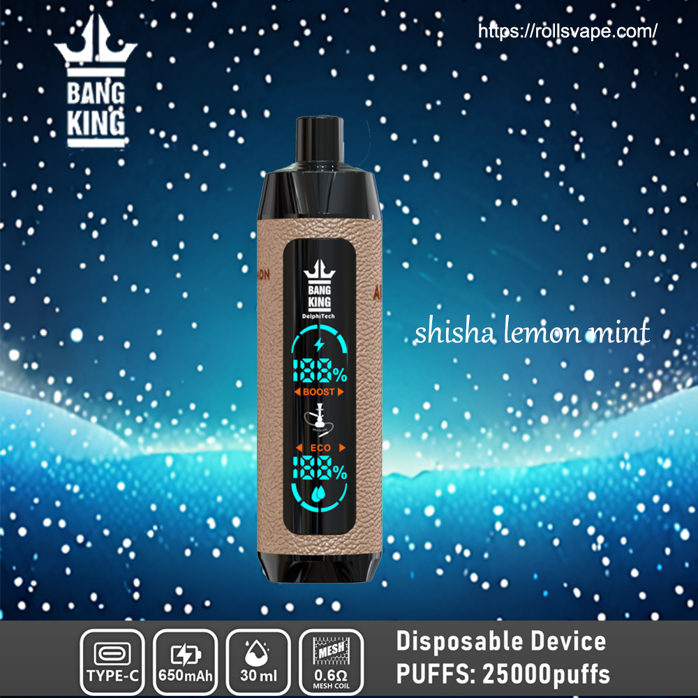 Bang King Shisha 25000 | 25K Puffs 一次性電子煙 – 奢華體驗，極致滿足
