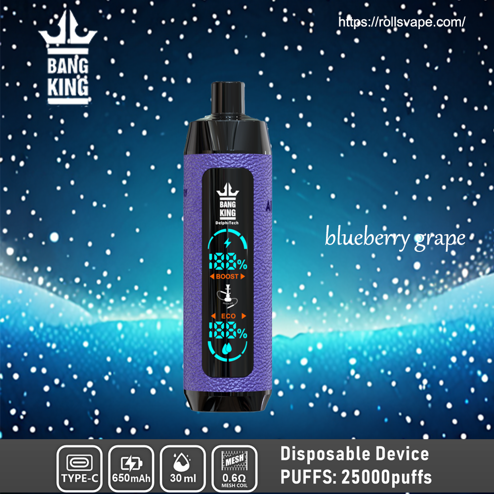 Bang King Shisha 25000 | 25K Puffs 一次性電子煙 – 奢華體驗，極致滿足