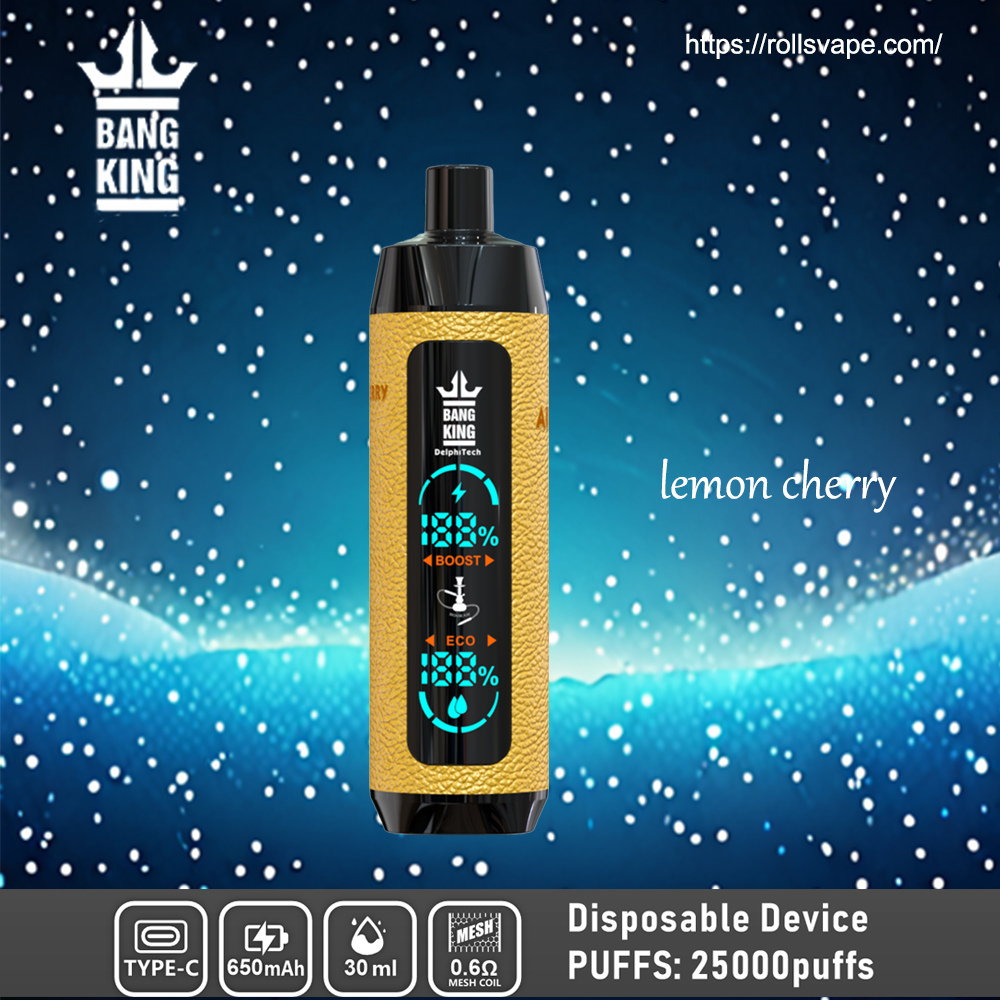 Bang King Shisha 25000 | 25K Puffs 一次性電子煙 – 奢華體驗，極致滿足