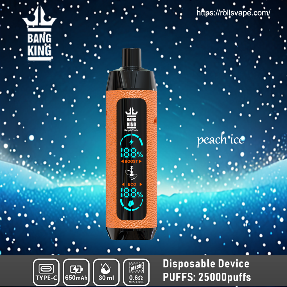 Bang King Shisha 25000 | 25K Puffs 一次性電子煙 – 奢華體驗，極致滿足