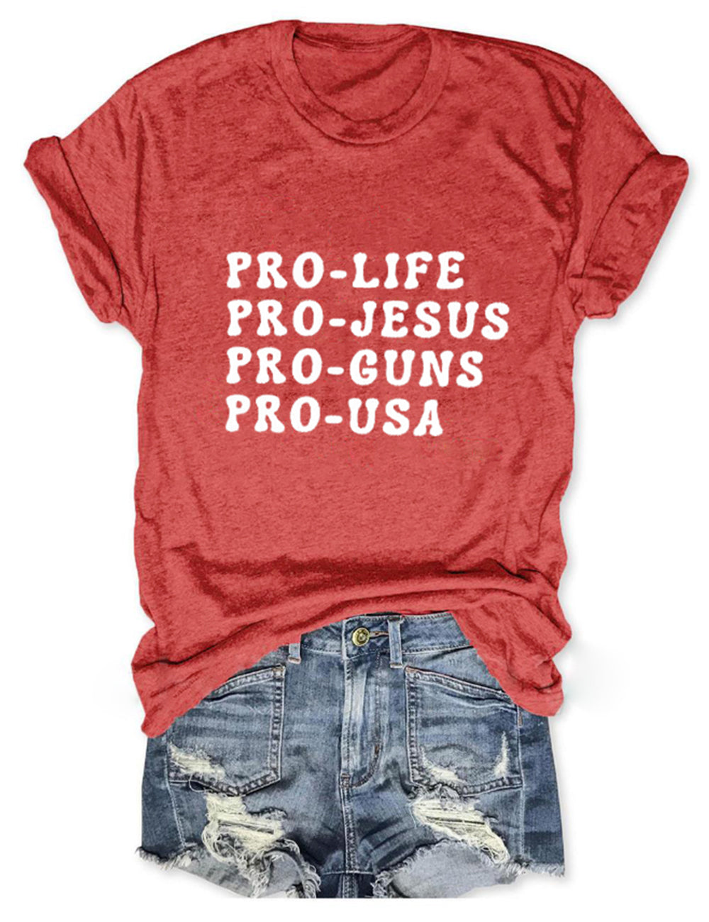 Pro Life Pro Jesus Pro USA Tee