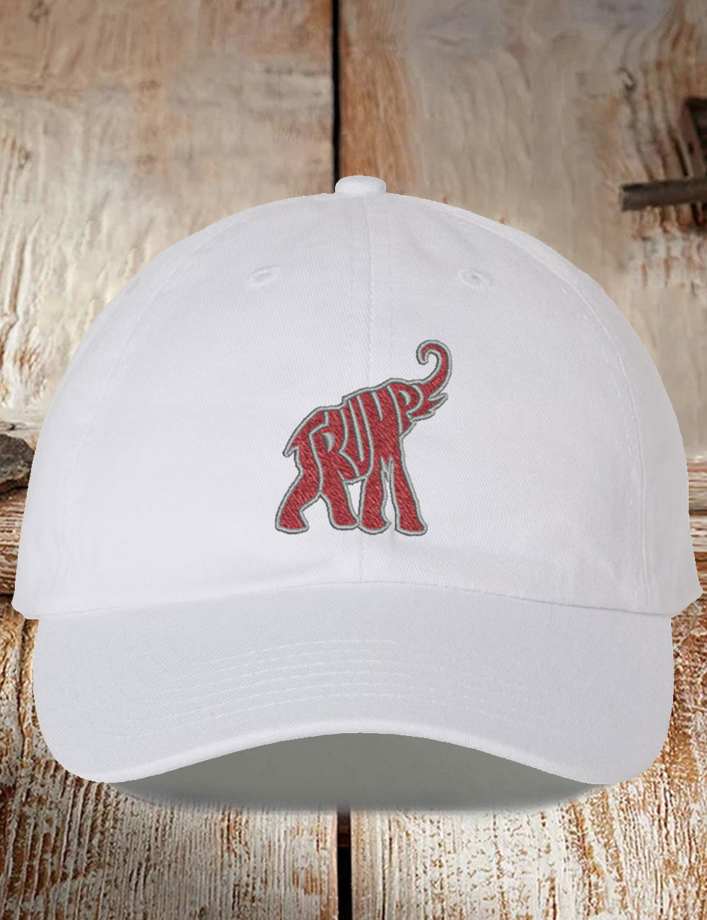 America 2024 Hat