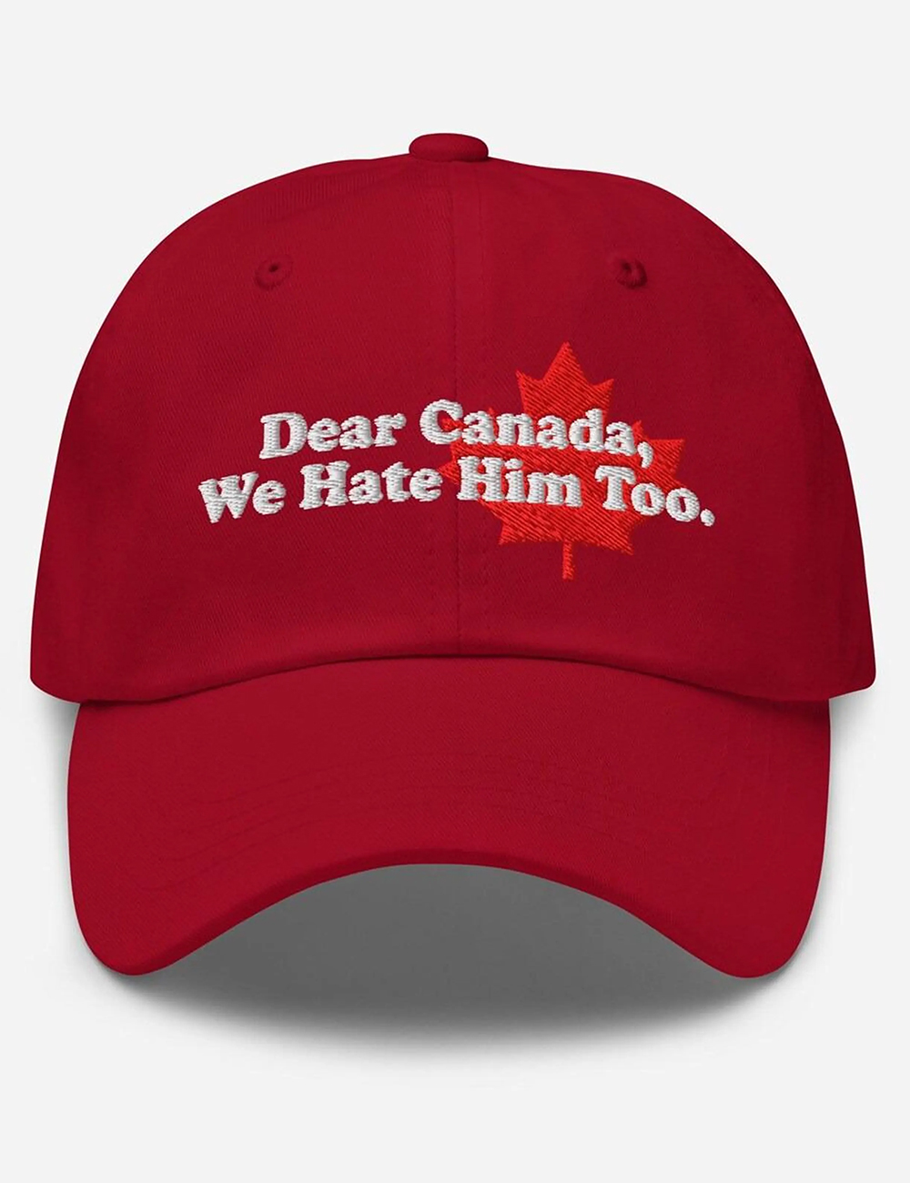Dear Canada We Hate Him Too Hat