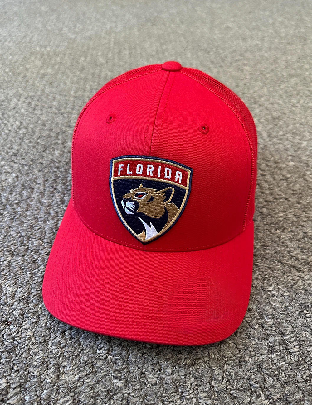 Florida Panthers Hat