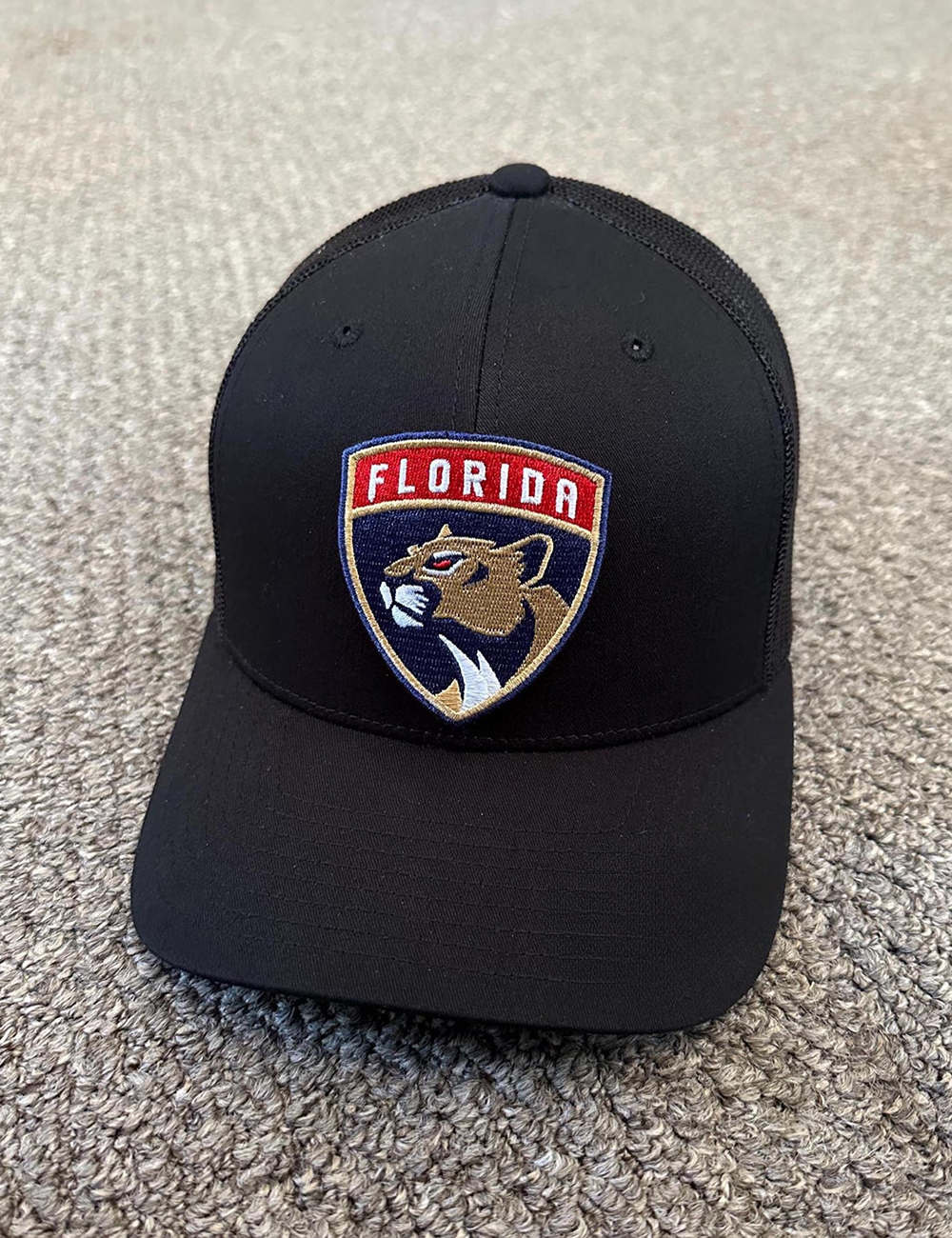Florida Panthers Hat