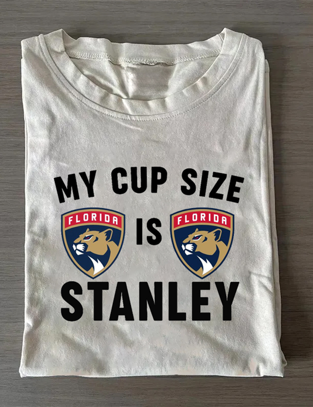 My Cup Size Is Stanley Florida Panthers Stanley Cup Champions T-Shirt