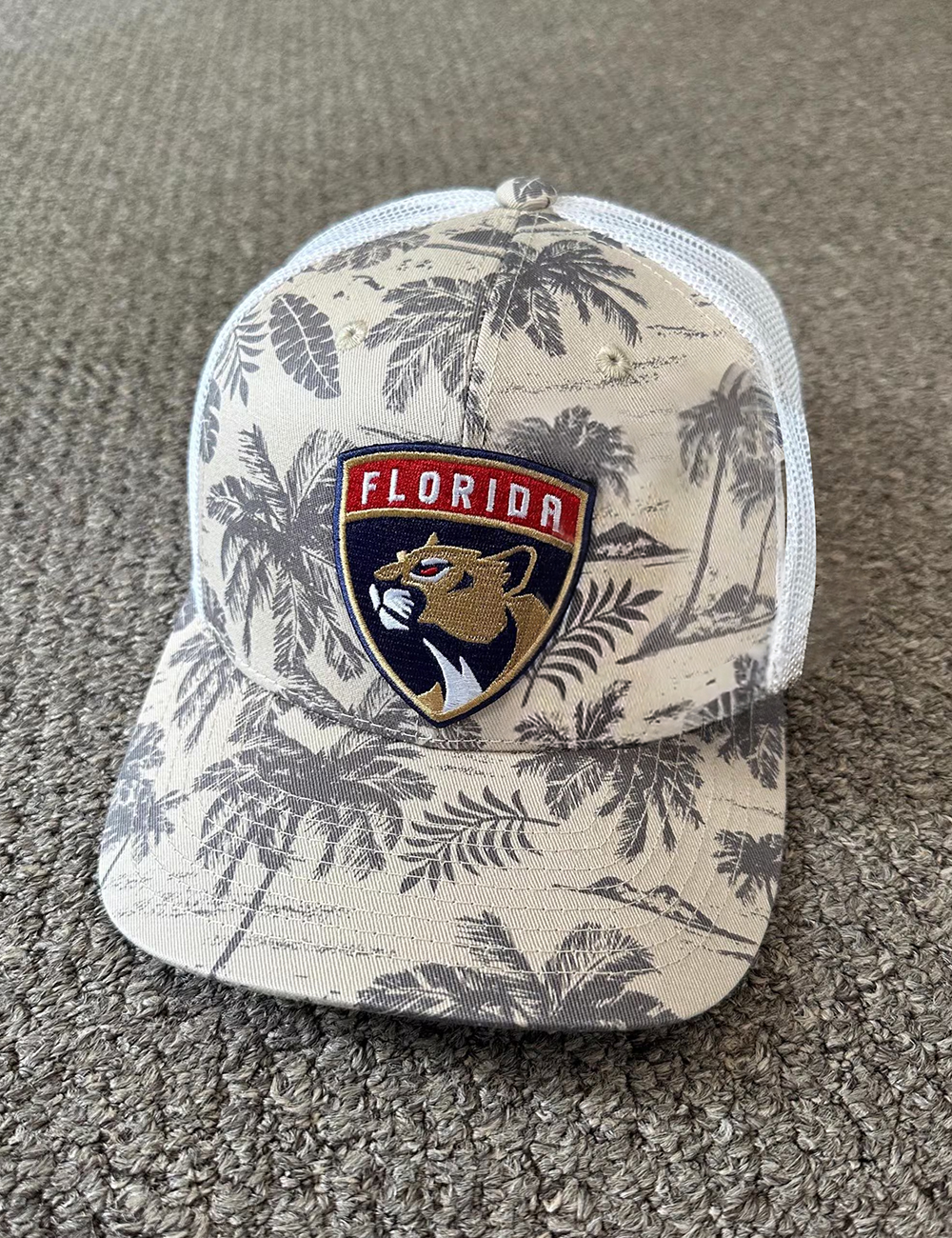 Florida Panthers Hat