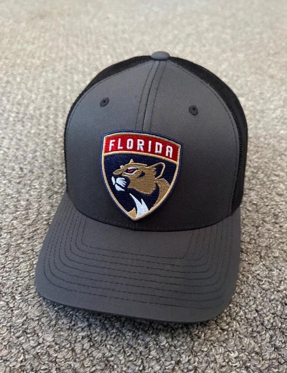 Florida Panthers Hat