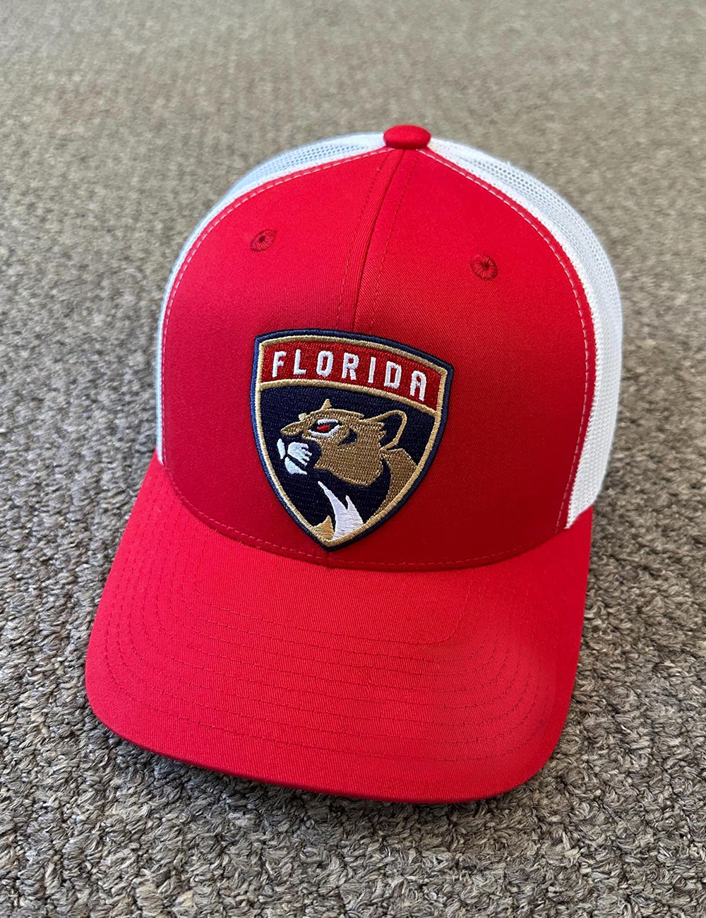 Florida Panthers Hat