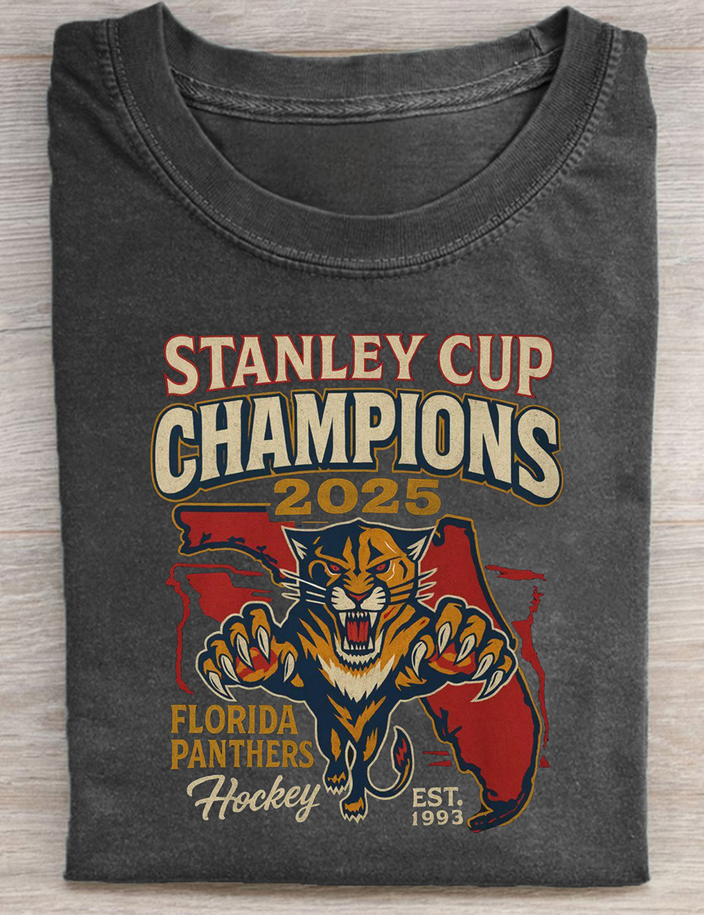 2025 Stanley Cup Champions Florida Panthers Hockey T-Shirt