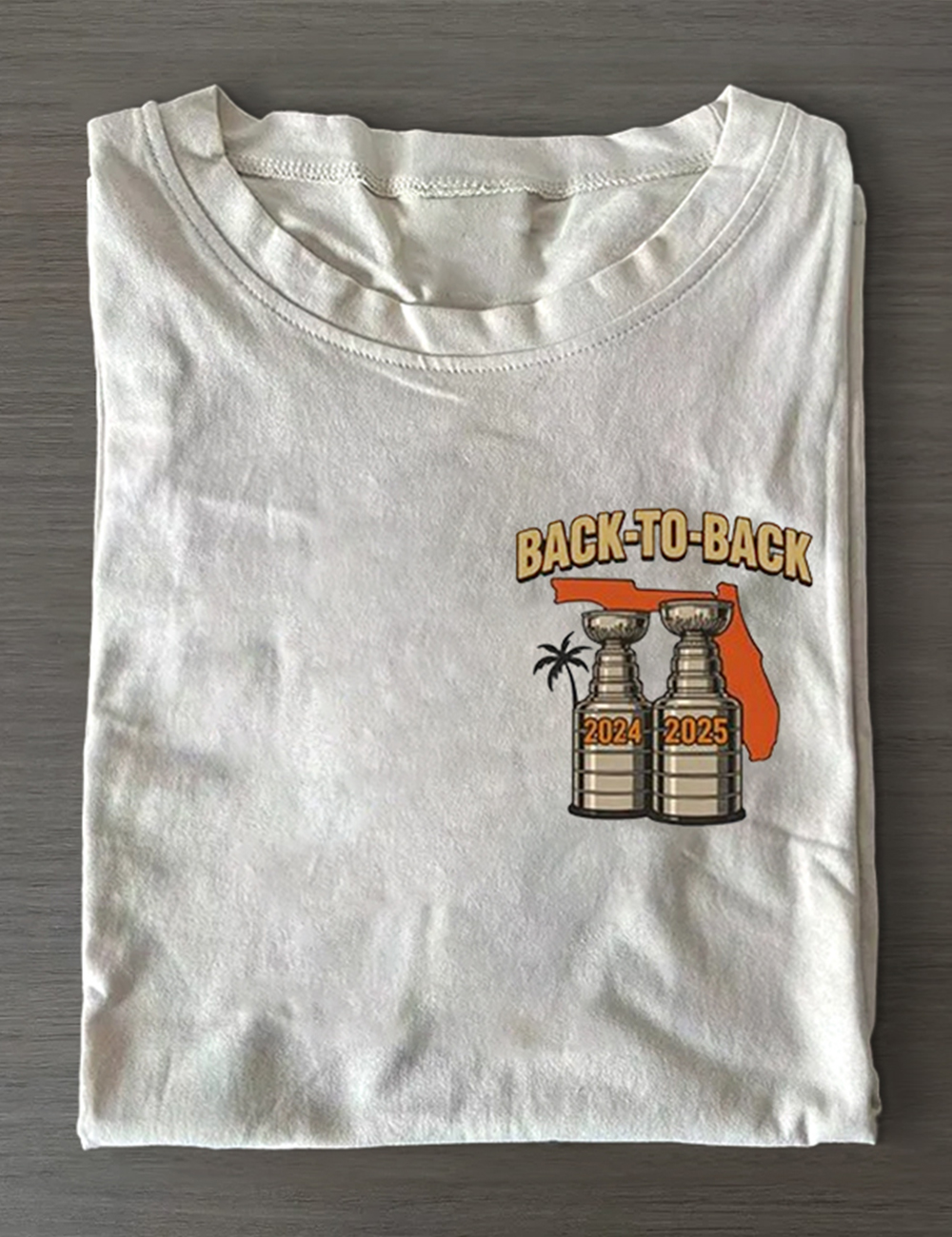 Florida Panthers Stanley Cup Champions 2024 2025 T-Shirt