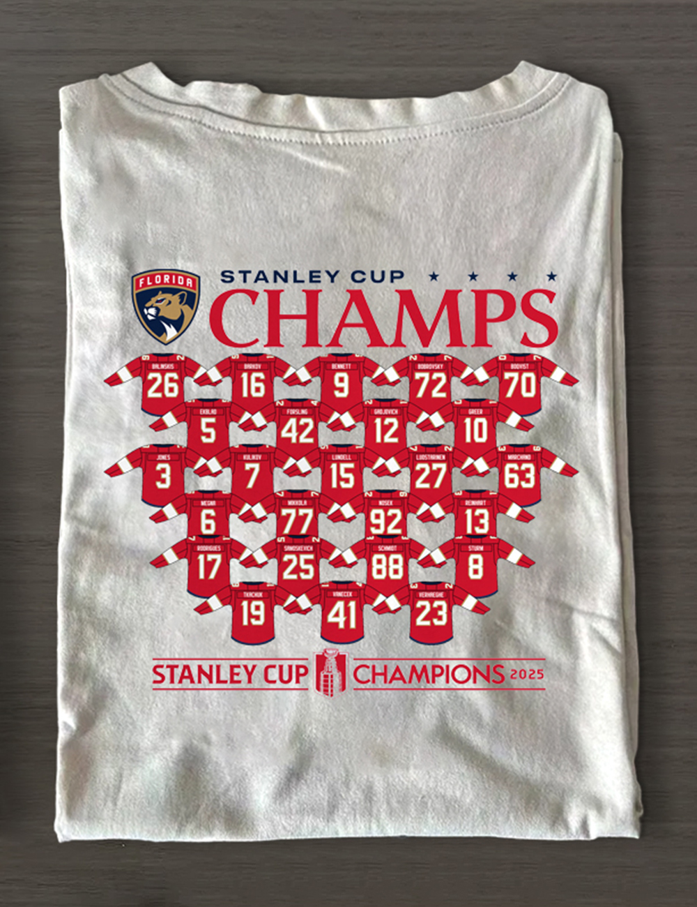 Florida Panthers 2025 Stanley Cup Champions T-Shirt