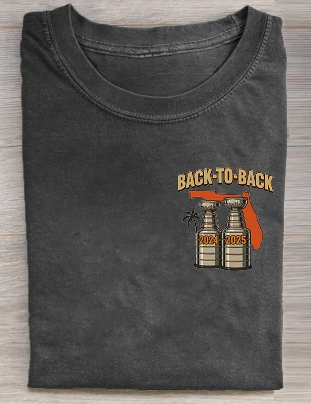 Florida Panthers Stanley Cup Champions 2024 2025 T-Shirt