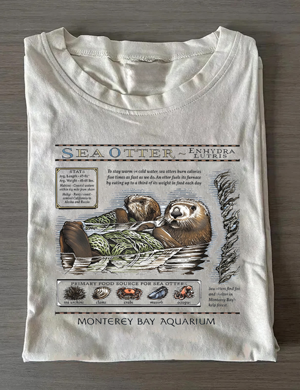 Monterey Bay Aquarium Sea Otter Vintage T-Shirt