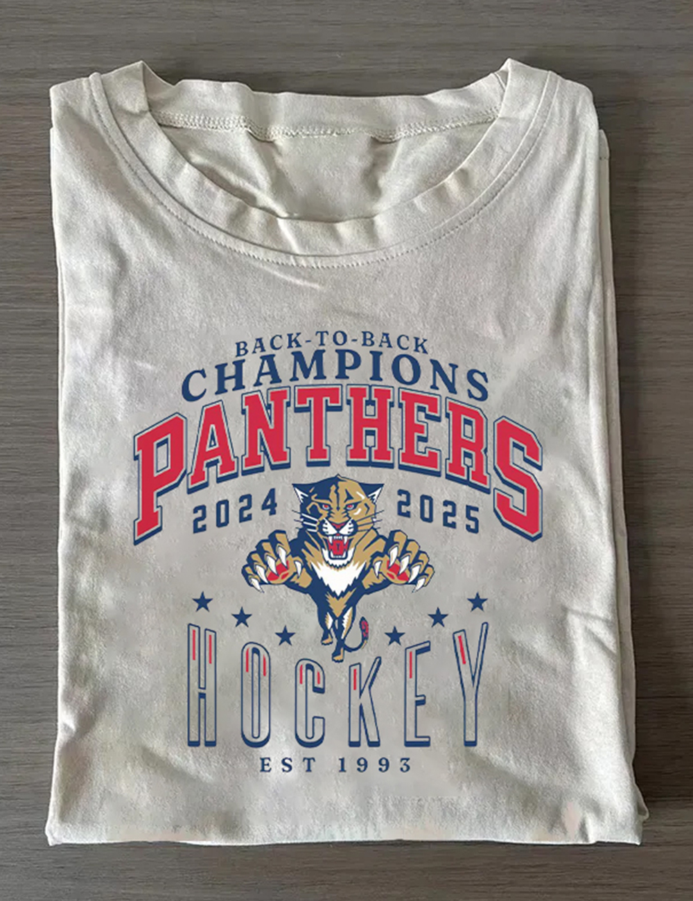 Florida Panthers Stanley Cup Hockey Title Champions T-Shirt