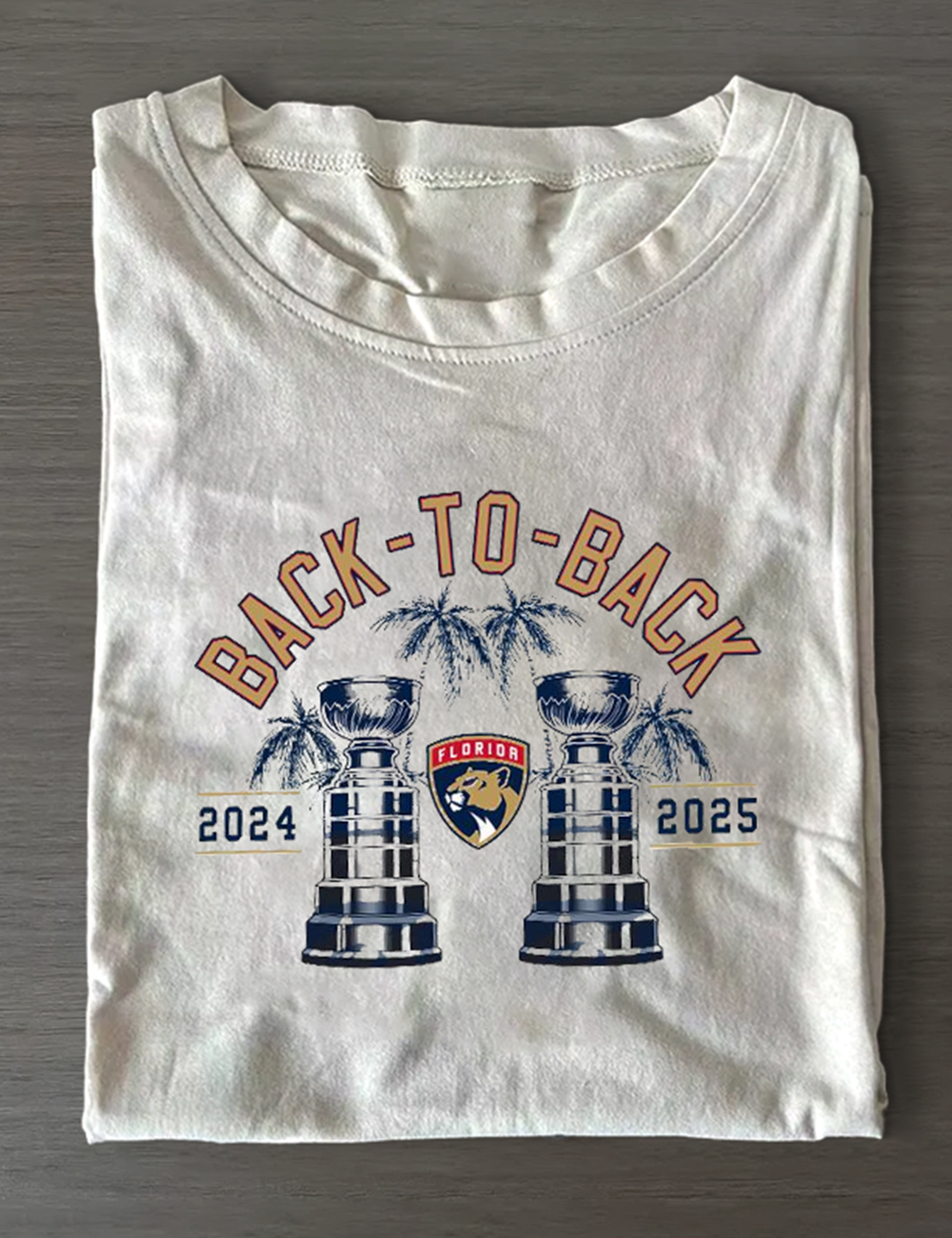 Back To Back Florida Panthers Stanley Cup Champions T-Shirt