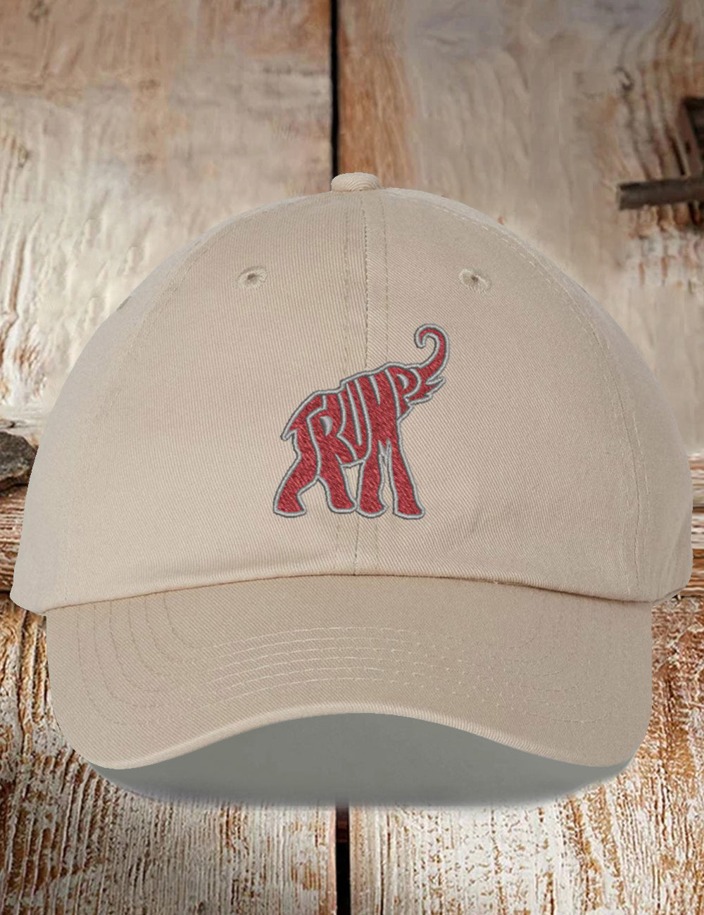 America 2024 Hat