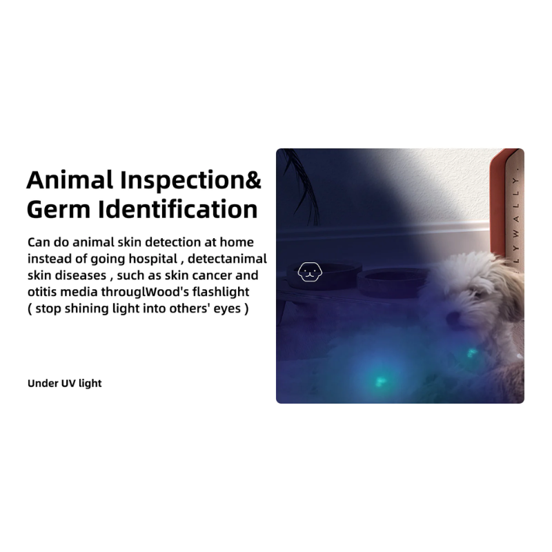 Wuben E19 365nm UV LED Pen Light