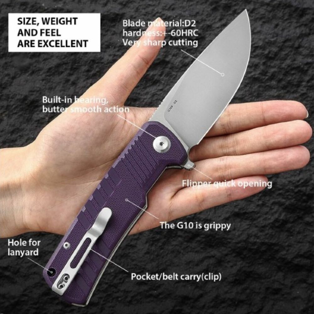 Ganzo G769 G10 Folding Knife
