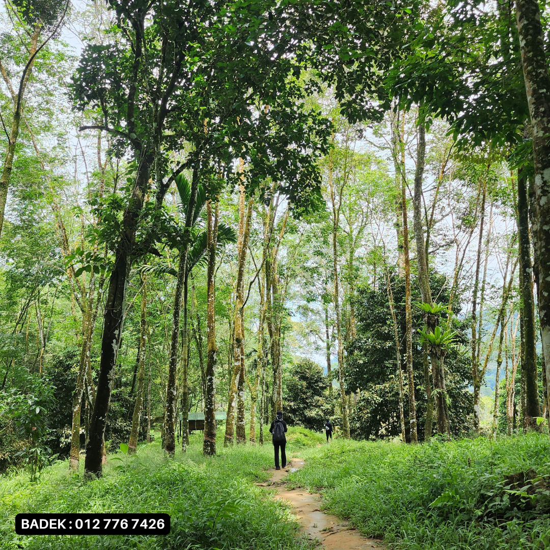 WATERFALL TREKKING: Lepoh Waterfall
