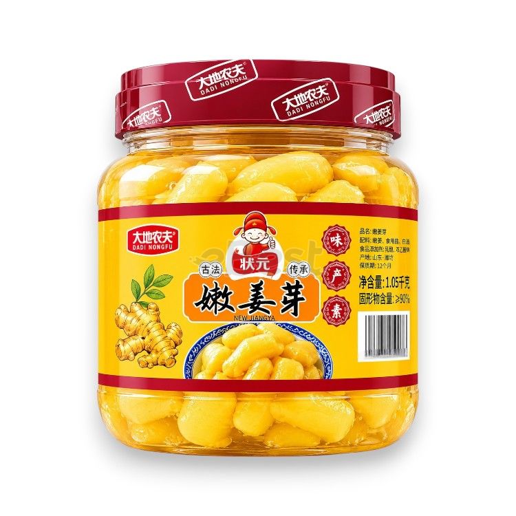 Dadi Nongfu Zhuangyuan Tender Ginger Sprouts 1050g