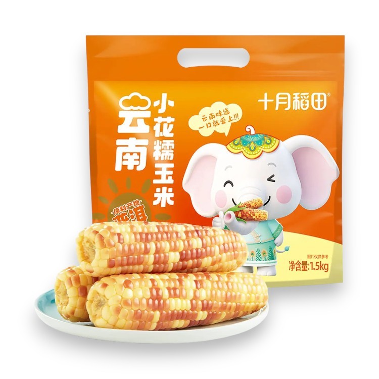 1.5kg of Yunnan small-flowered glutinous corn from rice paddies in October-eBest