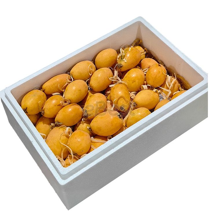 Tai Lai Loquats - The Pinnacle of Loquats, Size L (Approx. 250g)-eBest